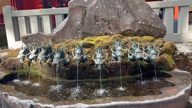 立春朝搾り、初午、誕生日のありがとう献血　浅草寺、箱根神社の記事動画