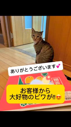 魔法の呪文๛ก(ｰ̀ωｰ́ก)の記事動画