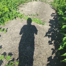１年前の画像