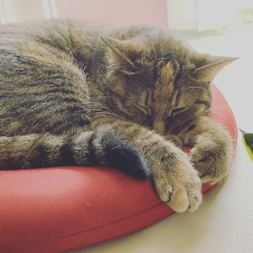 6/30生まれのあなたへの画像