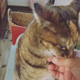 7/17生まれのあなたへの画像