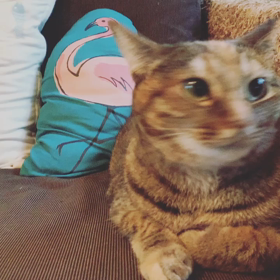 6/22生まれのあなたへの画像