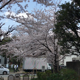 新一年生の画像