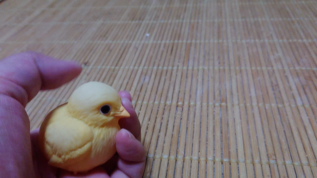 鳥飼生活5周年！！の記事動画