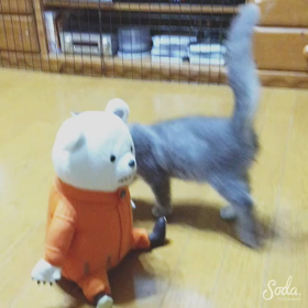 二度寝できなかった朝の画像