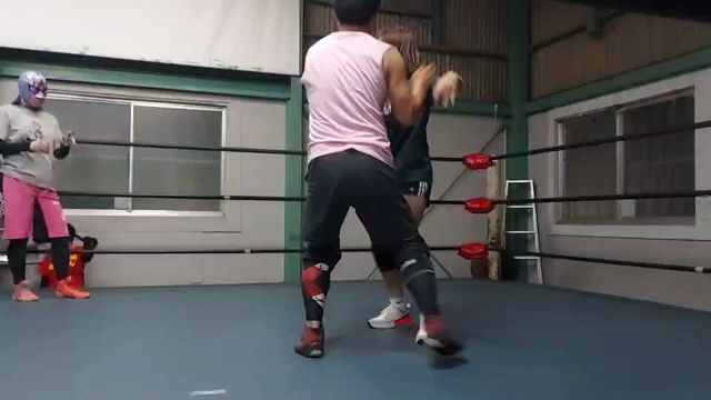 練習の日の記事動画