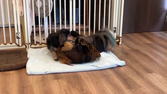 1月21日の記事動画
