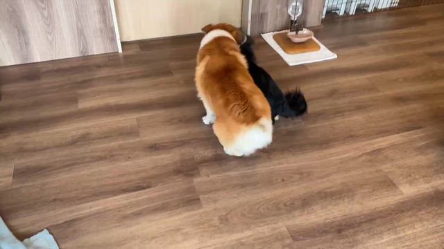 12月10日の記事動画