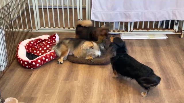 11月19日の記事動画