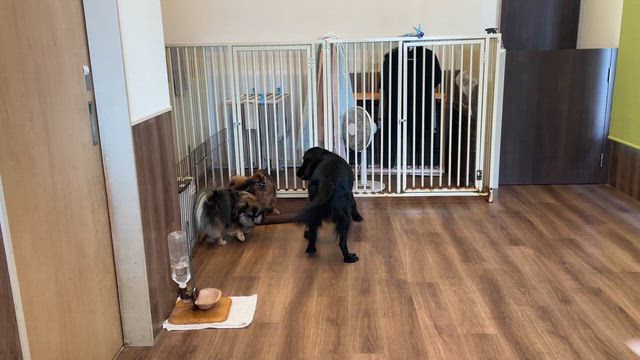 地下鉄記念日の記事動画