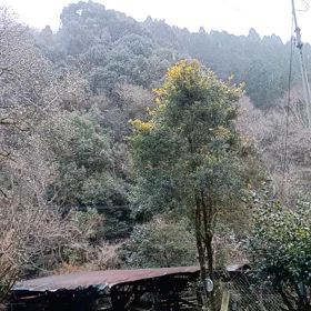 雪の画像
