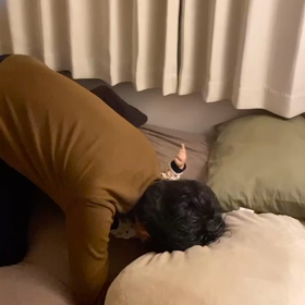 世のパパさんママさんへの画像