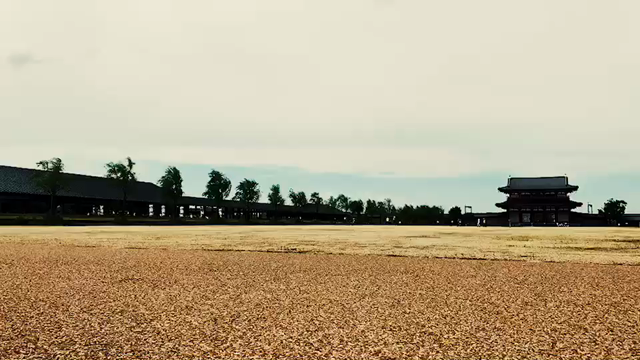 話題のデリバリーサービスで自転車がまたまた人気デス！の記事動画