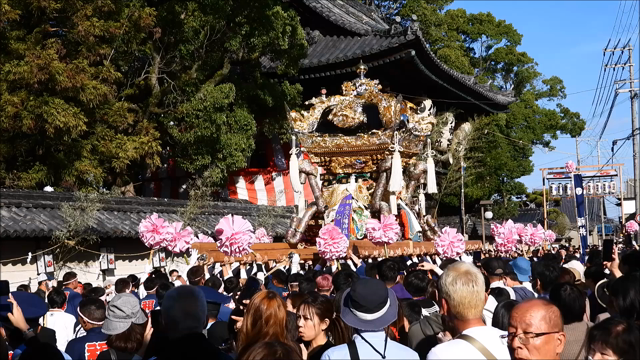 令和5年 魚吹八幡神社秋季例祭・昼宮の記事動画