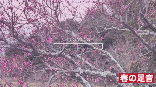 2月28日　中高年の為の血糖値改善メニュー！の記事動画
