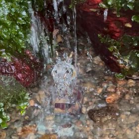 みんなで水浴び(　＾∀＾)の画像