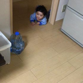 家事ができん！(8m27d)の画像