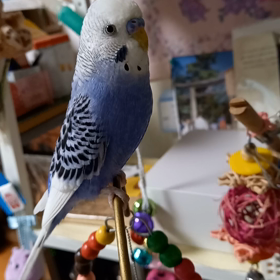 2021/10/18の画像