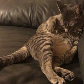 グリ動画の画像