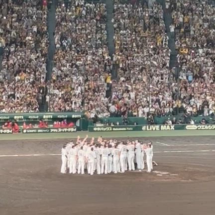 おはよう虎優勝やーーーーッ！の記事動画