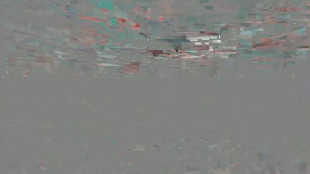 明日から県長水路選手権！の記事動画