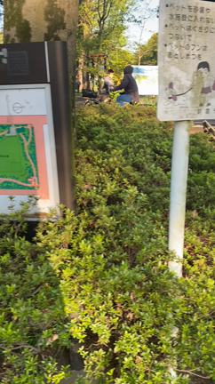 青葉台公園続報の記事動画