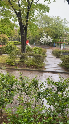 青葉台公園の風景の記事動画