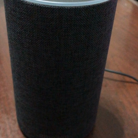 まめぞうに新しいお友達(*'▽'*)の画像