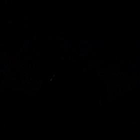 ふたご座流星群に挑戦中(〃ω〃)の画像