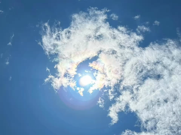 今週のプチメッセージ！の記事動画