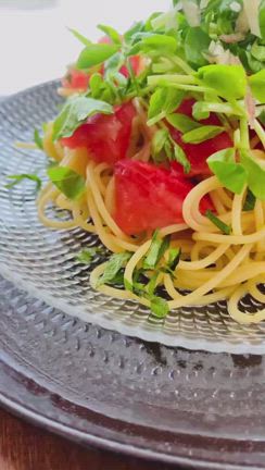 今週のlunchの記事動画