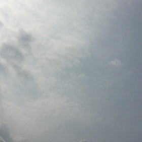 夏だね‼︎の画像