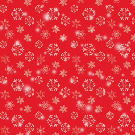2023/12/21の記事動画