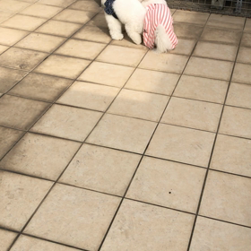 近所のAmiちゃんとスローコヒーに行ってきました(^.^)の画像