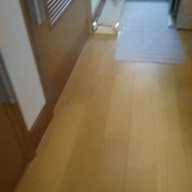 今日もヤンチャです(;゜∇゜)の画像