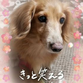 明けましておめでとうございます。の画像