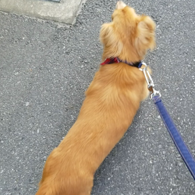 お天気☀️の画像