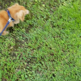 雨&蒸し暑い日が続くね。の画像