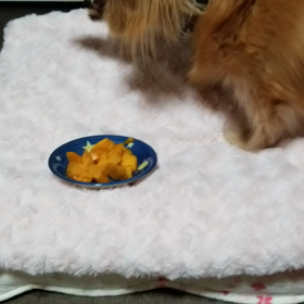 この時期の果物　柿♡の画像