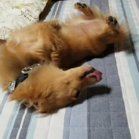 毎日暑いです。の画像