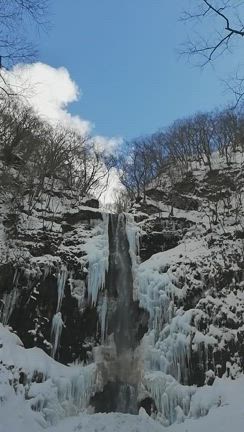 圧巻の玉簾の滝‼️の記事動画