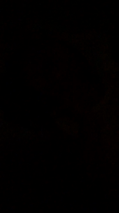 彼女なりのリセット術〜夜驚症再び〜☆彡の記事動画