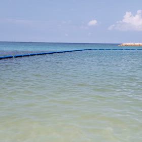 海の画像