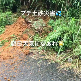 避難の画像