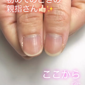 たまには動画も載せてみるの画像