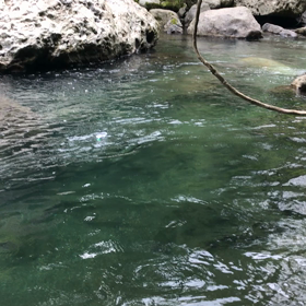 川への画像