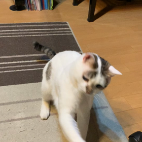 え？忘れたの？の画像