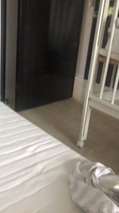最近の可愛いこちゃんたち。の記事動画