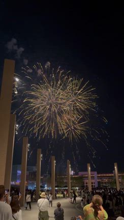 ４回目の万博、中国館→花火を満喫するの記事動画