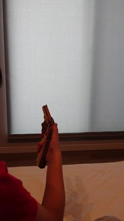 毎日毎日の記事動画